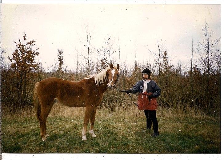 Traver Pan (Paw)R.I.P billede 5