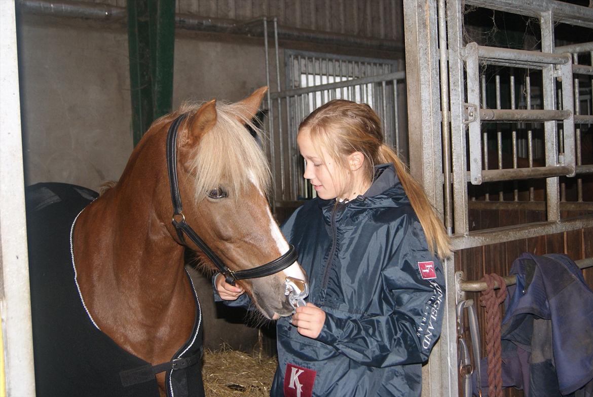 Anden særlig race Kira - 2x klubmester (solgt) - klubmestere 2011 i LD og LC billede 8