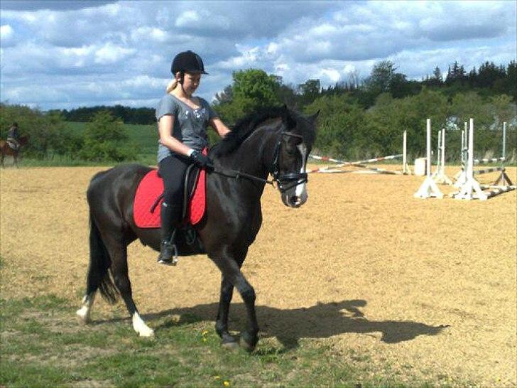 Anden særlig race Prins Løjser billede 11