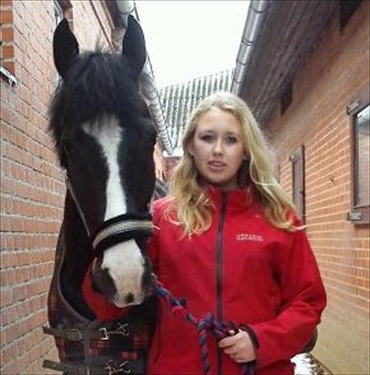 Anden særlig race Prins Løjser billede 12