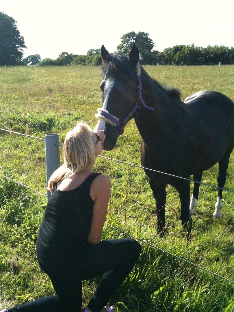 Anden særlig race Prins Løjser billede 14