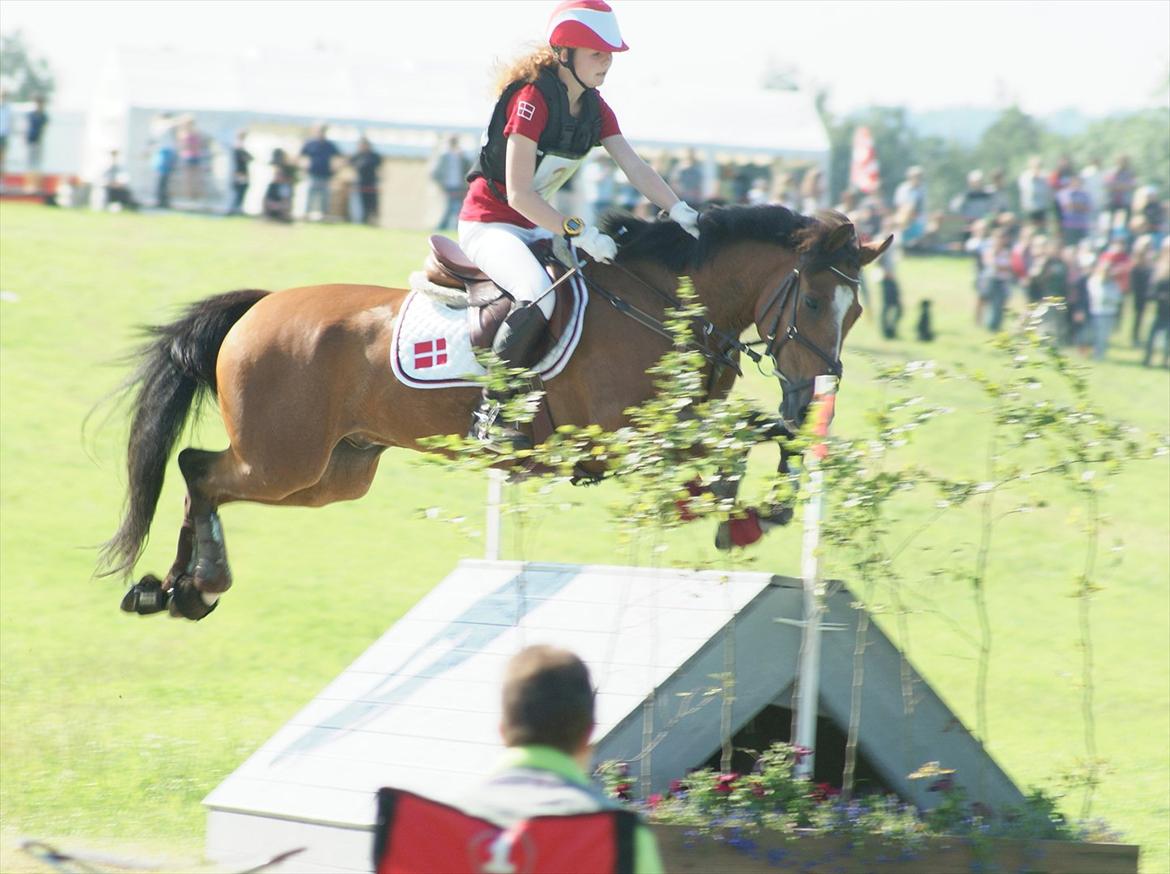 Anden særlig race Cilas Regal A-pony - terræn!  skrå serie fik så noget ros for det!<3   billede 11