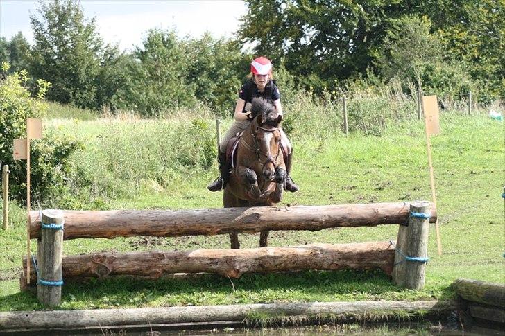 Anden særlig race Cilas Regal A-pony - langå på vej i vandet<3 vandt 1* billede 14