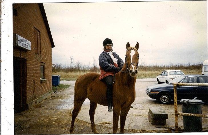 Traver Pan (Paw)R.I.P billede 6