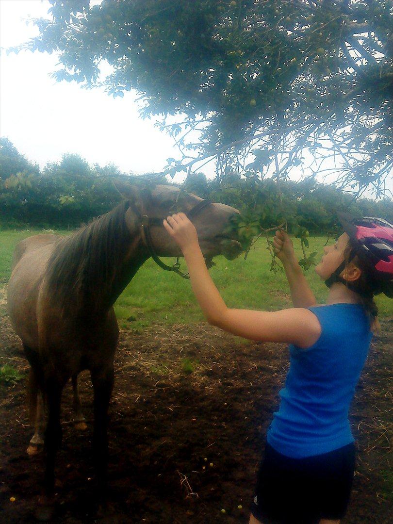 Anden særlig race Diddl (Seruphus's Diddl) - Uhm de smager godt  billede 6