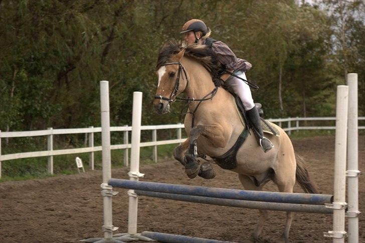 Anden særlig race Lipo Flash - Se vi flyyyver <3<3 

(Foto CL) billede 8