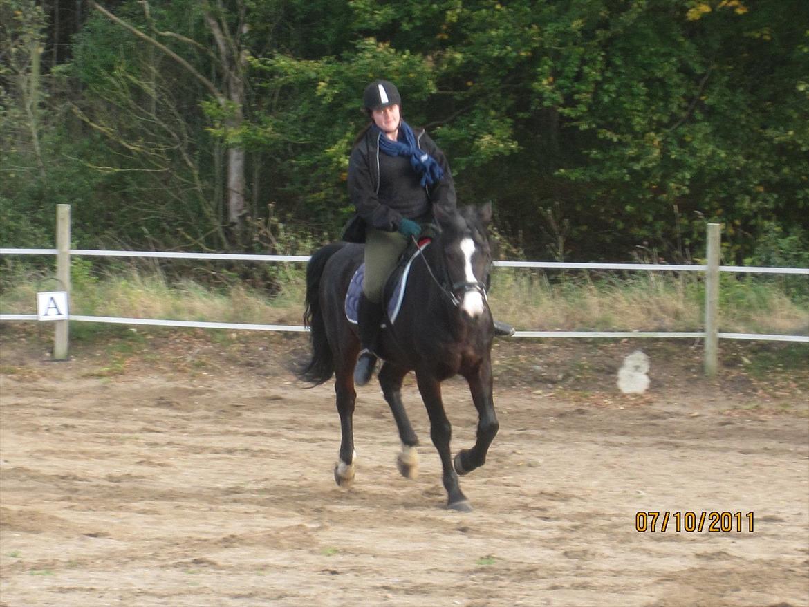 Anden særlig race Bruno (solgt) - 7/10-11
jeg er voldsomt ude af træning. der er ikke en muskel der ikke gør ondt nu billede 14