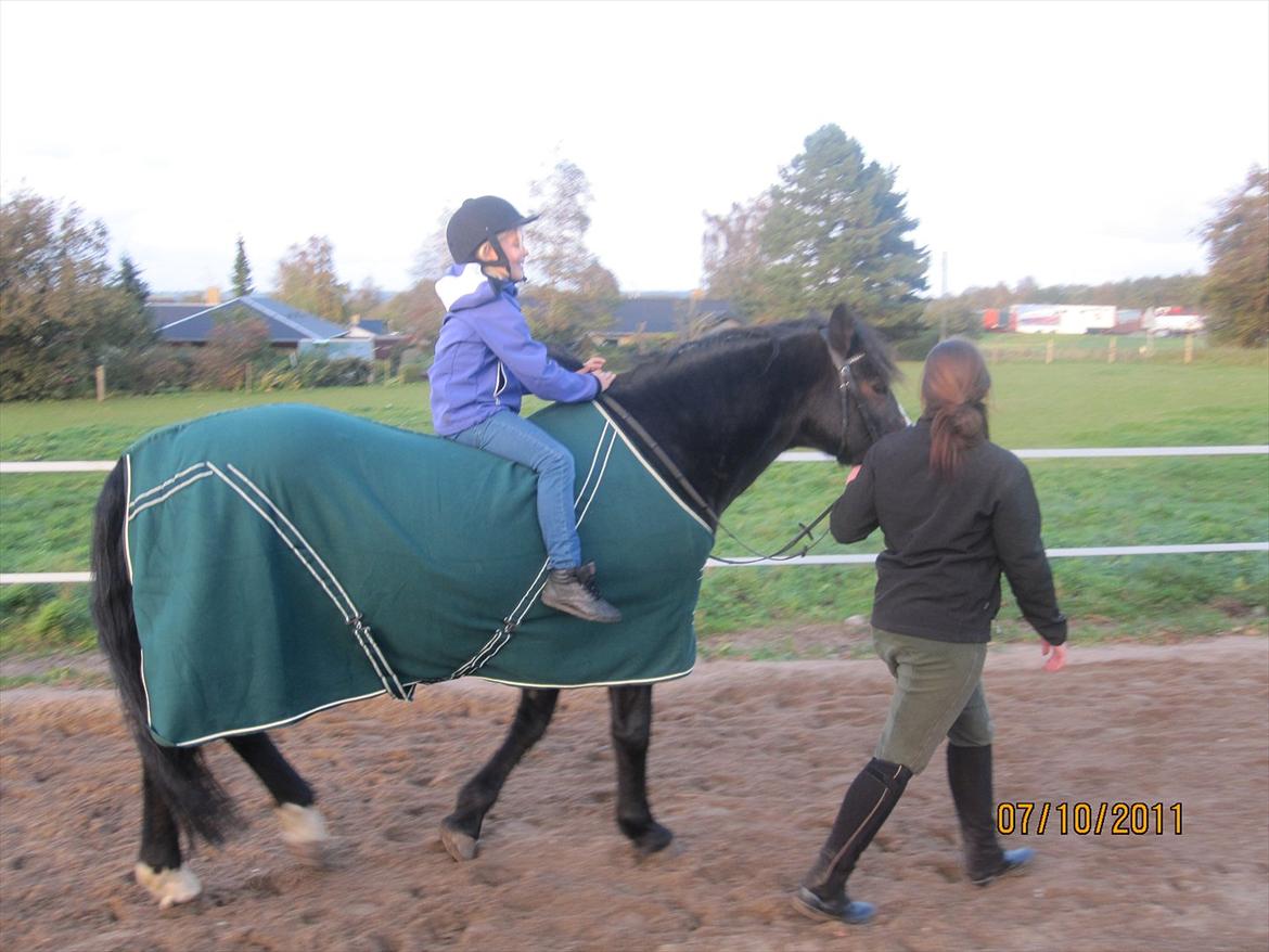 Anden særlig race Bruno (solgt) - Matilde prøver en tur på Bruno - i skridt og trav 7/10-11 aften billede 15