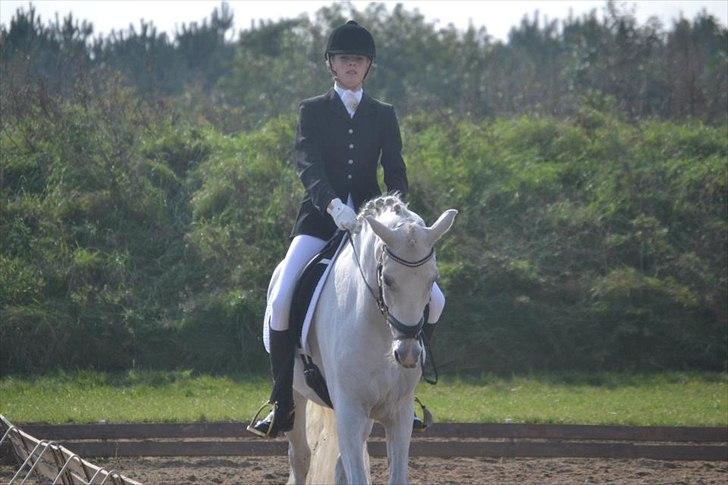 Anden særlig race Domingo - Velkommen til Domingo's profil!<3
Til stævne i Guldager:-*
 billede 1