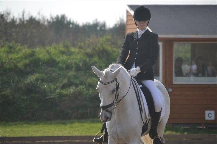 Anden særlig race Domingo - Stævne i Guldager! :-*
1. og 2. plads<3 billede 2