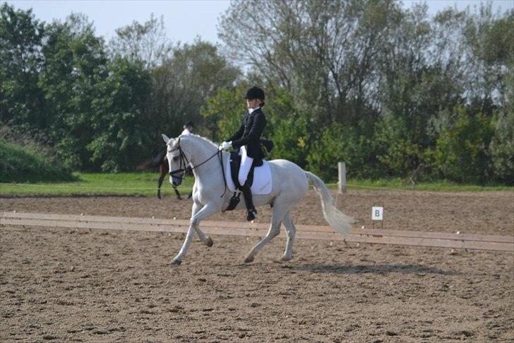 Anden særlig race Domingo - Igen:-*<3
 billede 4