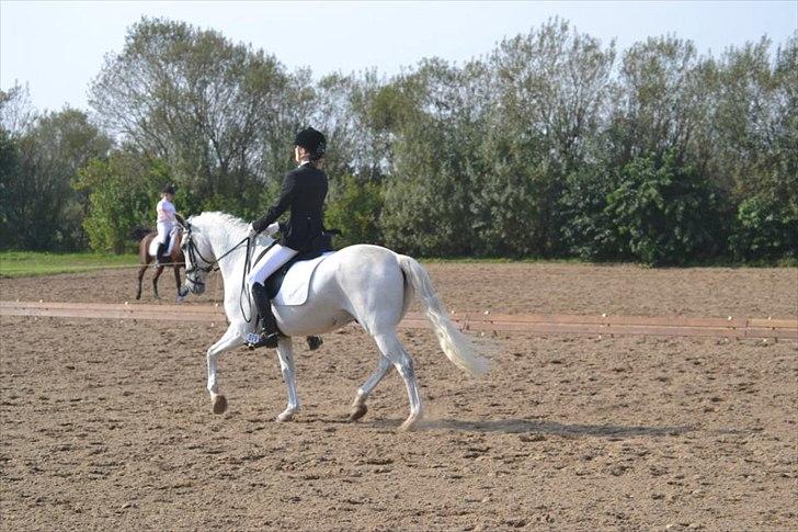 Anden særlig race Domingo - Igen:-*<3
 billede 5