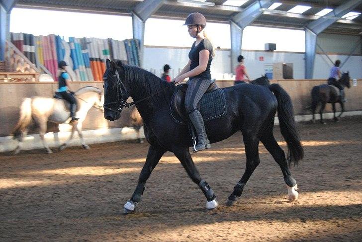 Anden særlig race Mr. D (Dallas) - Han kan jo godt ;) (Foto: Cecilie Rømer Hansen)  billede 3
