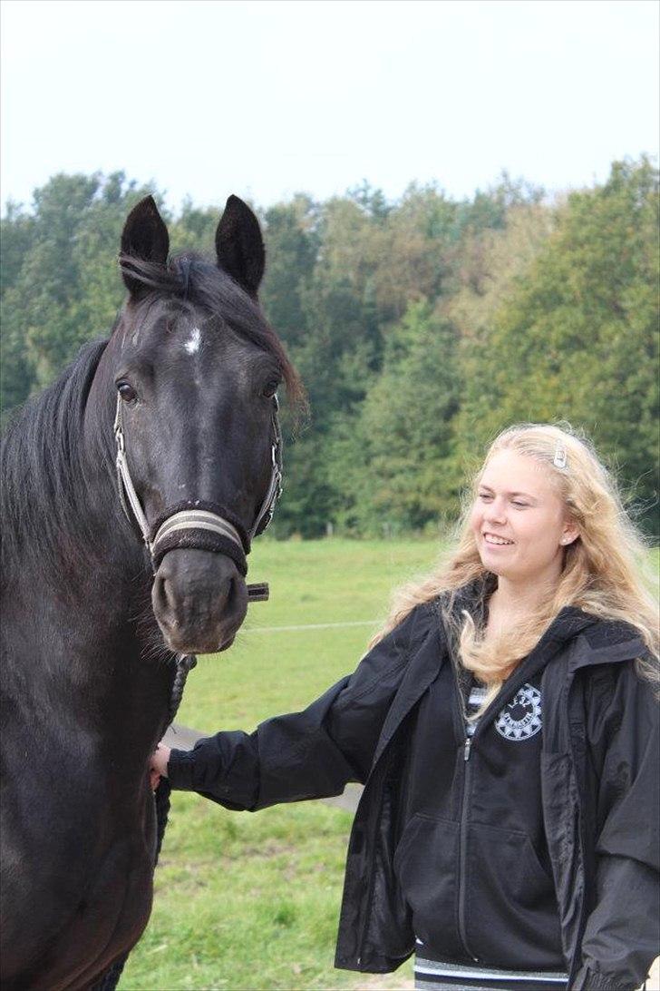 Anden særlig race Mr. D (Dallas) - Du gør mig altid glad :) (Foto: Bettina Westh)  billede 10
