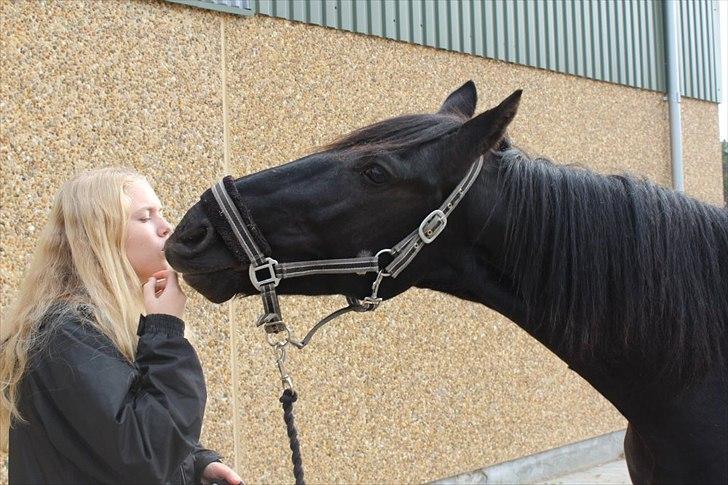 Anden særlig race Mr. D (Dallas) - Vi øver kys ! ;) (Foto: Bettina Westh)  billede 11