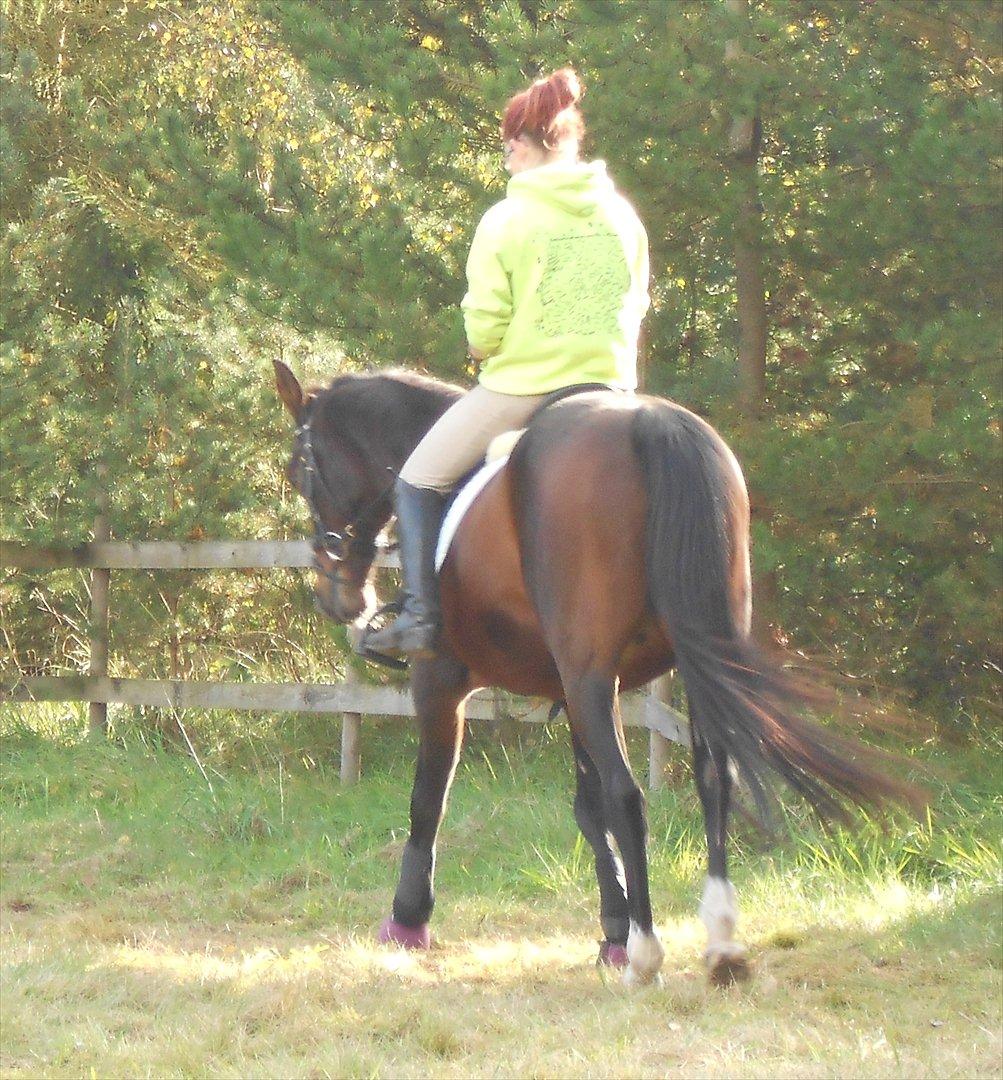 Traver Stella - Når enden er god er alting godt (: billede 20