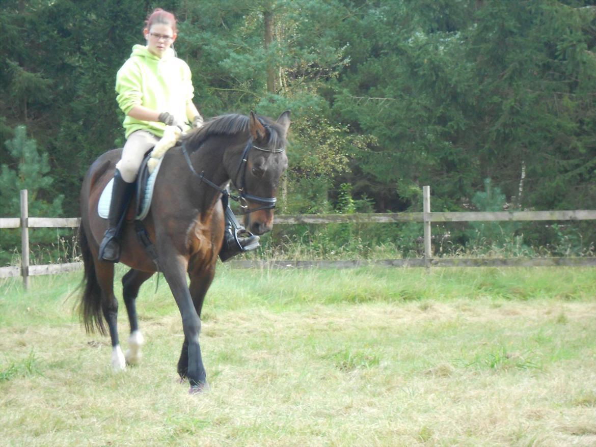 Traver Stella - Taget d. 07.10.11

Min dygtige lille prut :p billede 7