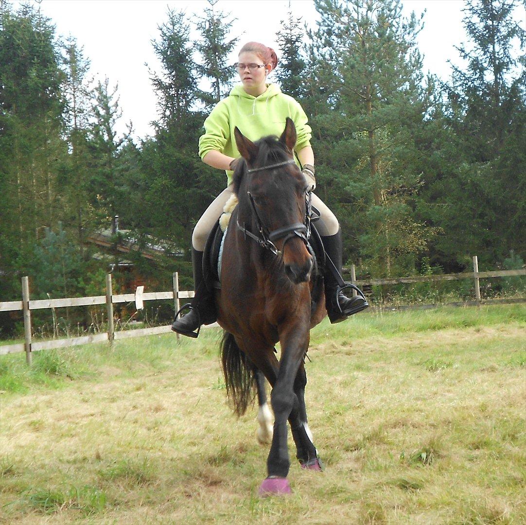 Traver Stella - Taget d. 07.10.11

Ja lidt et underligt billede, men hun lavede en rigtig flot side bevægelse fra midten og ud (:     

  billede 8