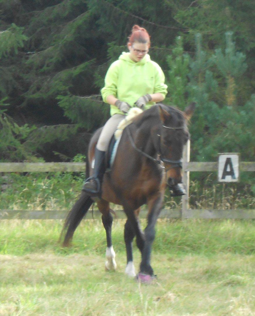 Traver Stella - Taget d. 07.10.11

Side bevægelse til den anden side, den var lidt svære, men den kom til sidst (:   billede 11