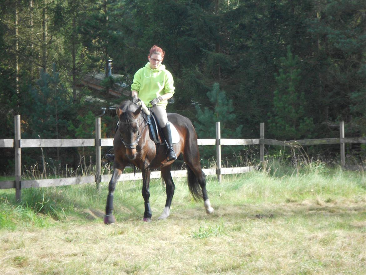 Traver Stella - Taget d. 07.10.11

Jeg elsker virkelig den pony :p billede 13