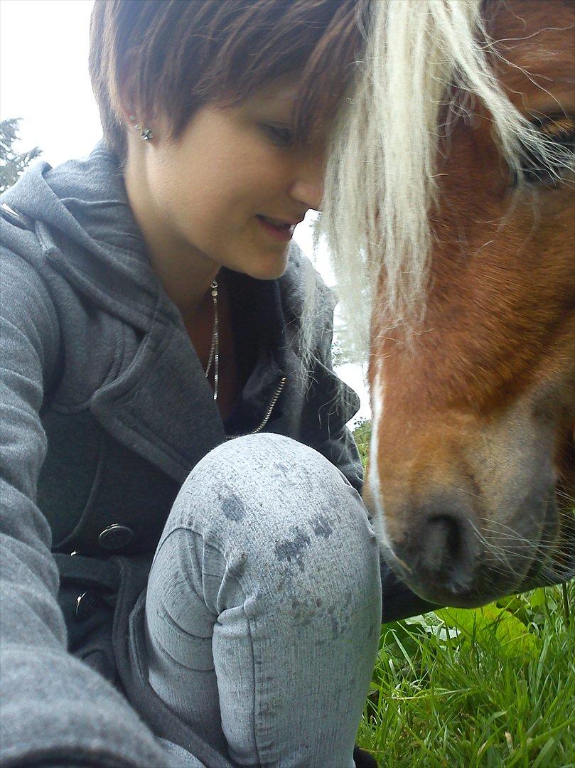 Miniature Ryttergaarden's Bertram billede 11