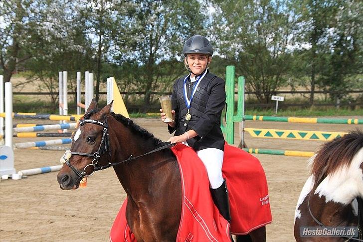 Welsh Pony (sec B) Gribsvads Tango | solgt | - Tango og hans nye ejer Signe, som blev klubmestre i Falken 2011  billede 2