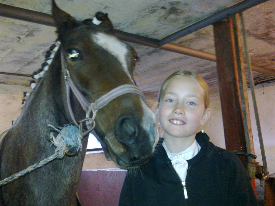 Tysk Sportspony Nelly - ♥ billede 1