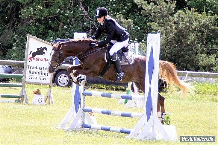 Welsh Pony (sec B) Mikkel - LB i SRR :D<3 elsker det billede tak johanne billede 3