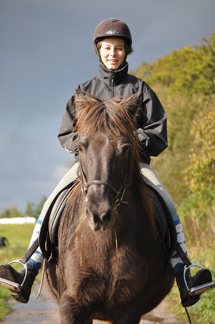 Islænder Mysla billede 16