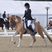 Anden særlig race Freja - A pony