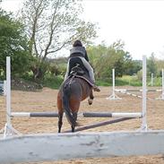 Anden særlig race Casandra (My star!<3)