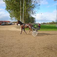 Traver Raketten G K