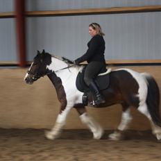 Tinker Juncker ( Låne Hest<)