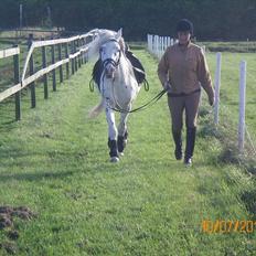 Knabstrupper Rughavens Limbo