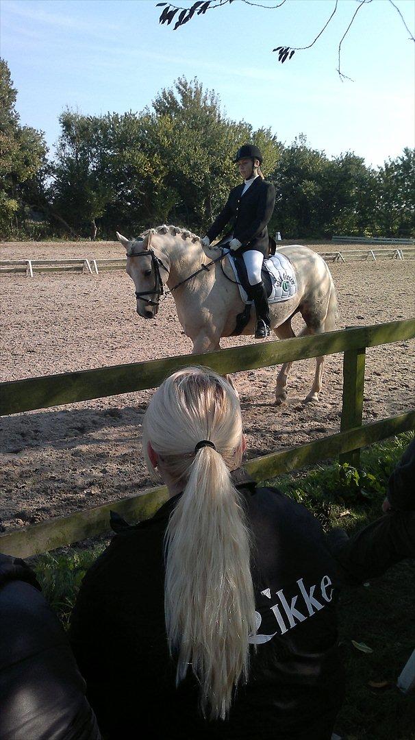 Connemara Bastian Bringsværd  - 'Bastian til stævne.
2011 billede 14