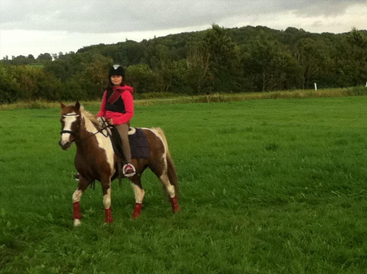 Pinto Bacardi - En hyggelig dag <3 billede 6