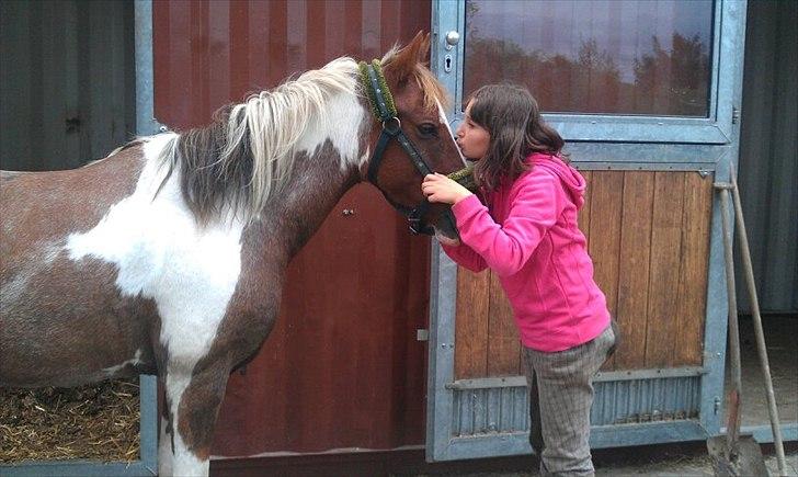 Pinto Bacardi - Mys, mys :* billede 4