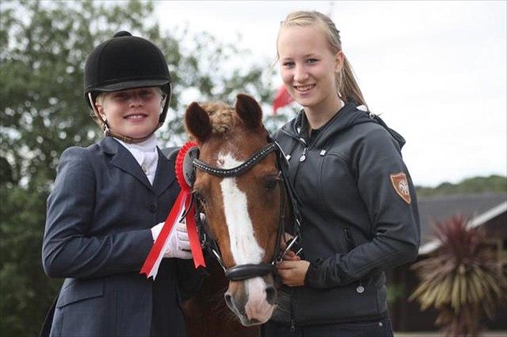 DSP Højgårds boli - Intet kan beskrive den pony <3 Til landsstævnet i Frederikshavn, hvor Boli og Katrine vandt PRI med 67%! Mine to stjerner <3 billede 2