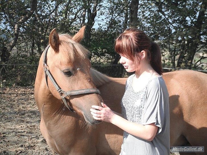 Anden særlig race Prins Brutus - Foto: emma <3 billede 6