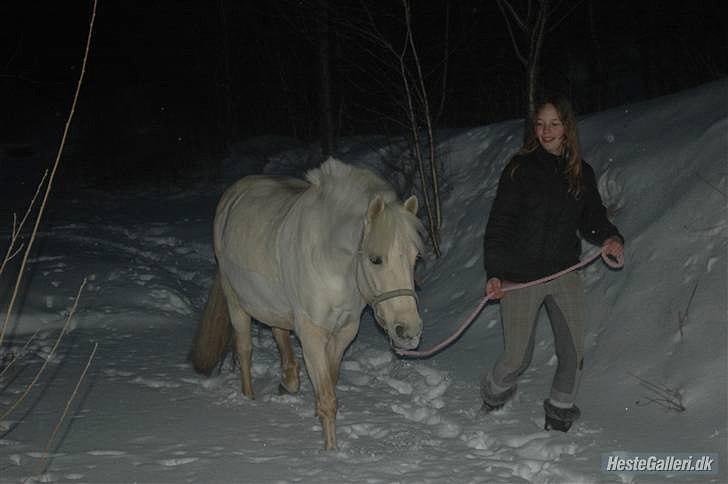 Anden særlig race Isabella R.I.P. 10-03-11 - 10 år - 2010 *Foto: Helena* billede 14