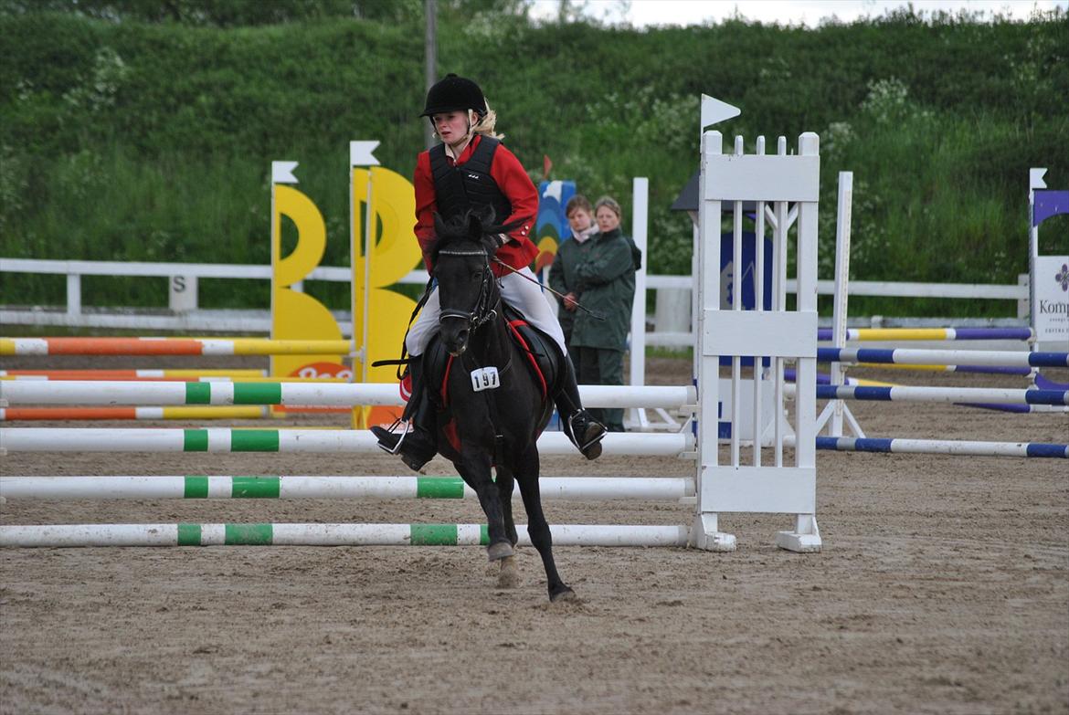Welsh Pony af Cob-type (sec C) Engholms Bonnie Beate - HIS c-stævne - LB2** - 28.05.2011. Foto: kusine Julie billede 8