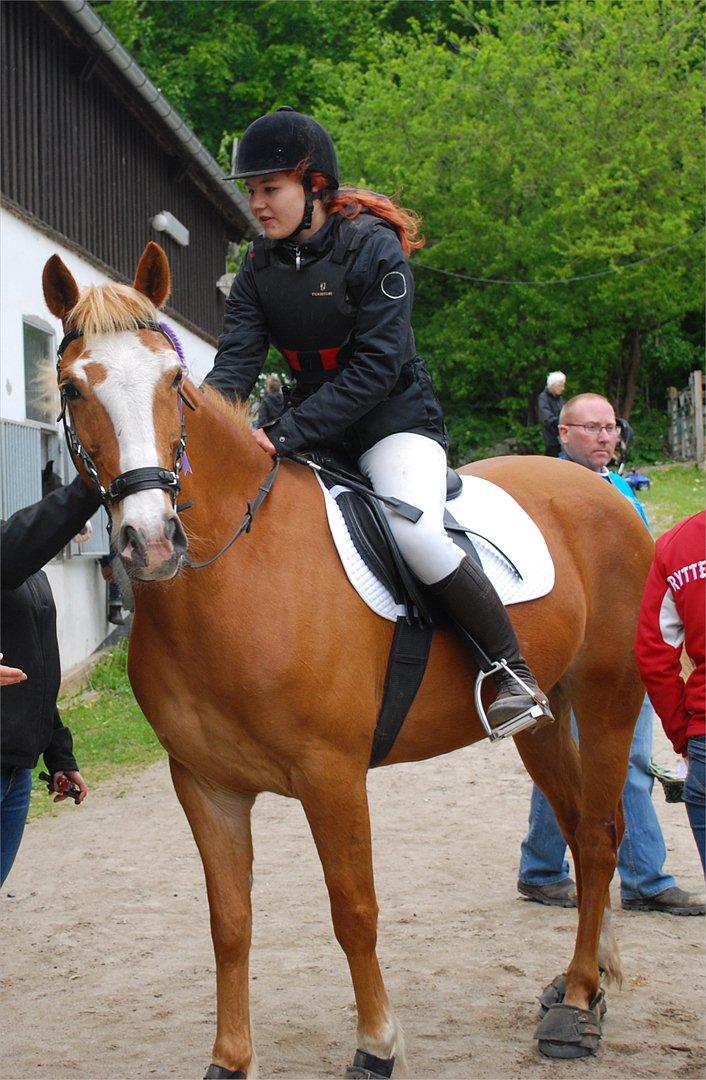 Anden særlig race Walk Of Fame *REST IN PEACE* billede 14