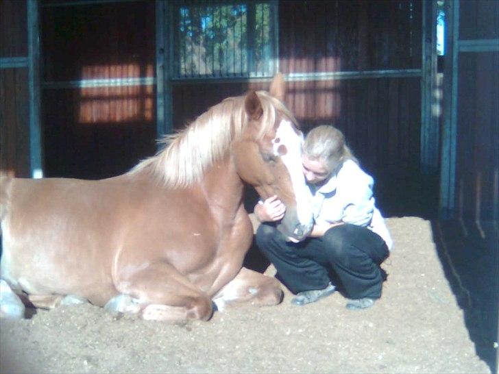 Anden særlig race Walk Of Fame *REST IN PEACE* billede 15