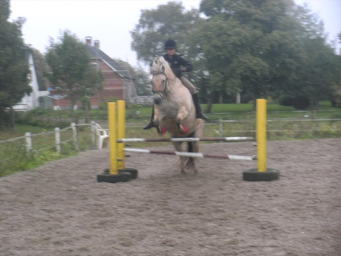 Fjordhest Prins rose *låner ham til hygge+spring* - Prins og jeg springer uden saddel;D<3 billede 2