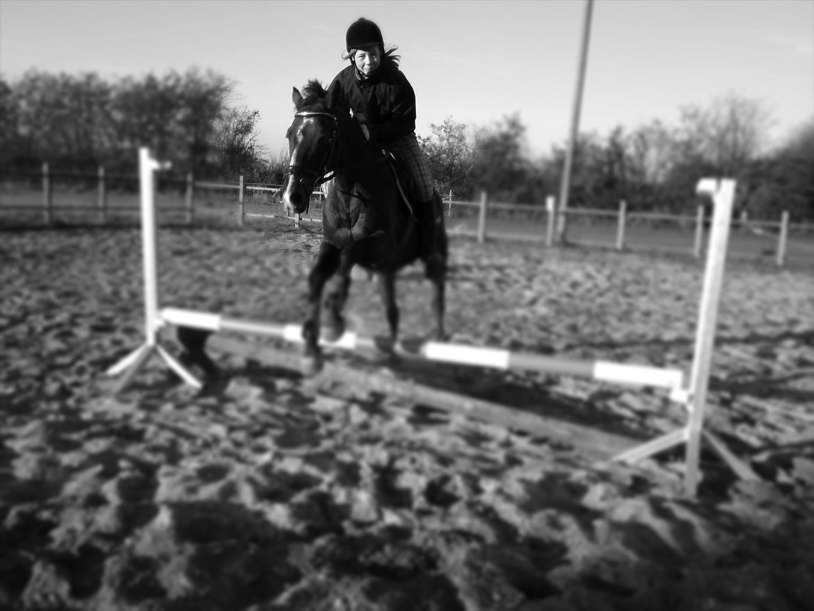 Tysk Sportspony Bubber - Vi er engle med kun én vinge; kun ved at omfavne hinanden kan vi flyve!  billede 3