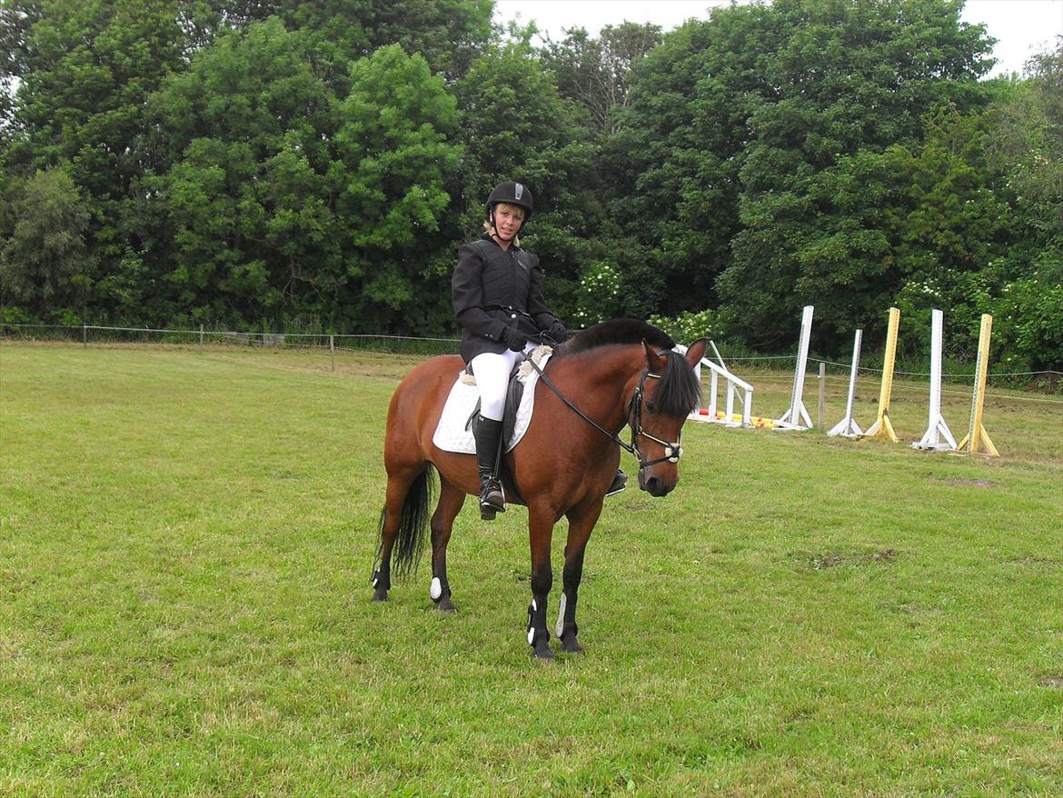 Anden særlig race Flika billede 13