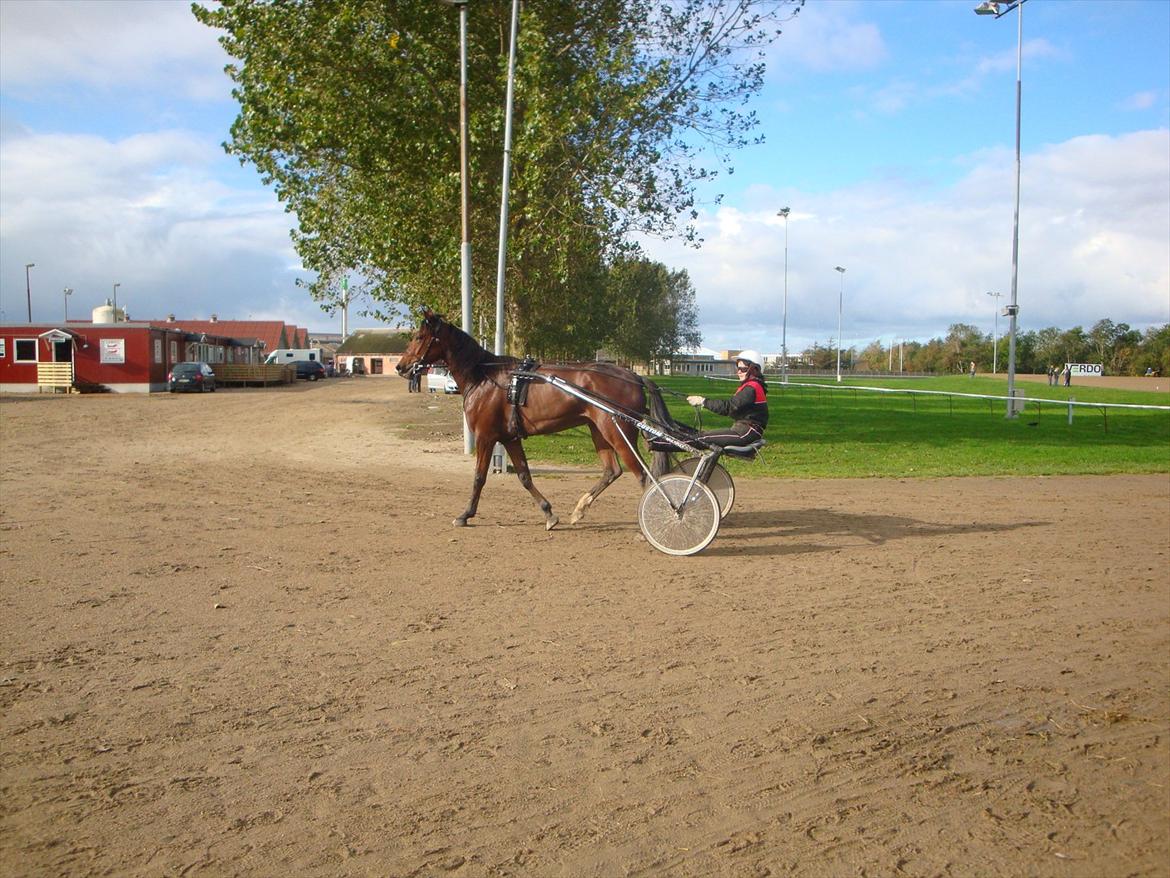 Traver Raketten G K - Træning billede 2