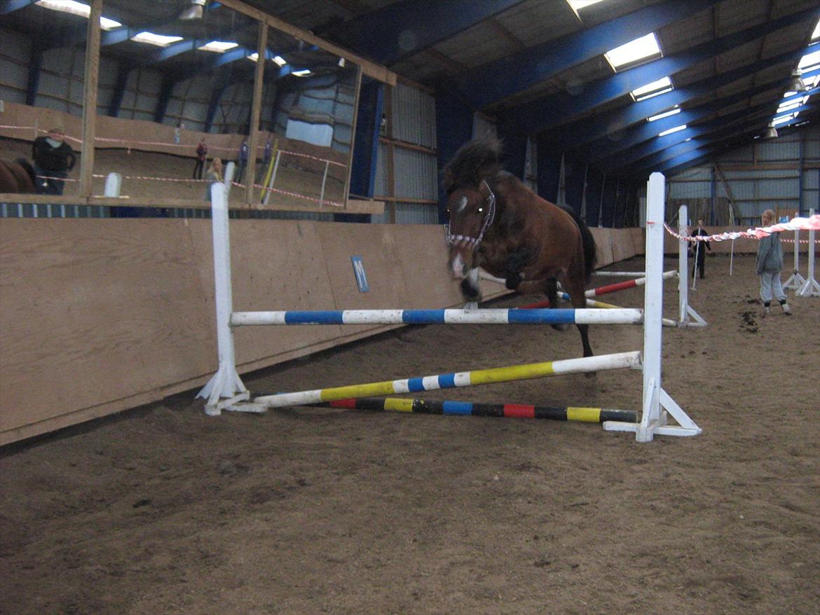 Knabstrupper Rughavens Fanny - Og min hest kan ikke springe??? O-: billede 13