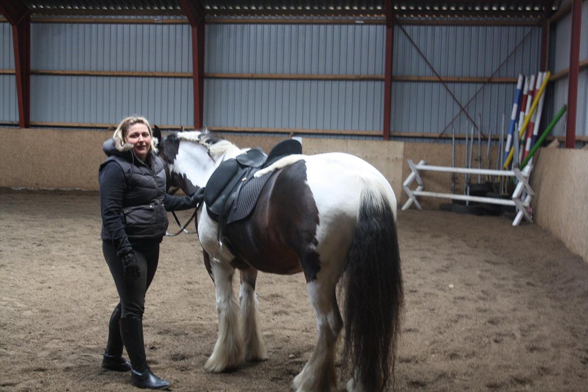 Tinker Juncker ( Låne Hest<) billede 8