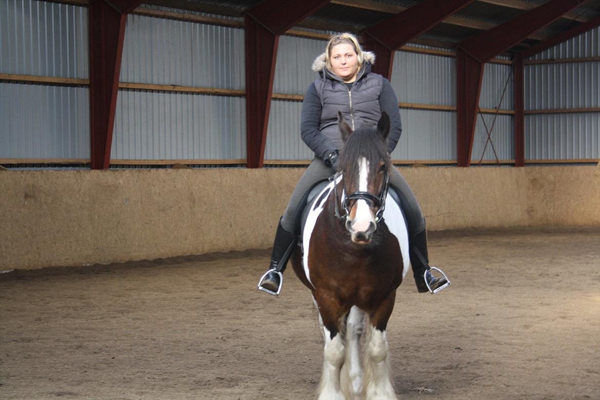 Tinker Juncker ( Låne Hest<) billede 9